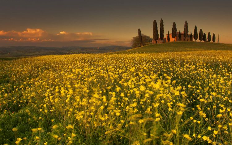 Tuscany