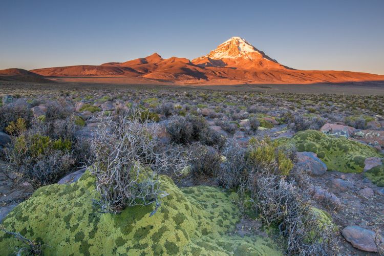 Bolívie - Altiplano